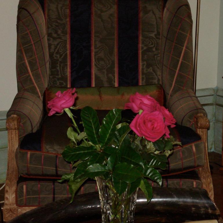 Cotter House Luxury Retreat Bed & Breakfast Auckland Luaran gambar